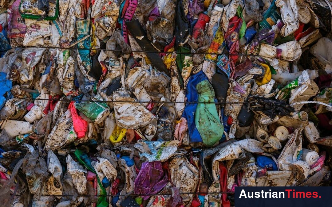 Greenpeace warnt vor leerem EU-Vernichtungsverbot Greenpeace warnt vor leerem EU-Vernichtungsverbot