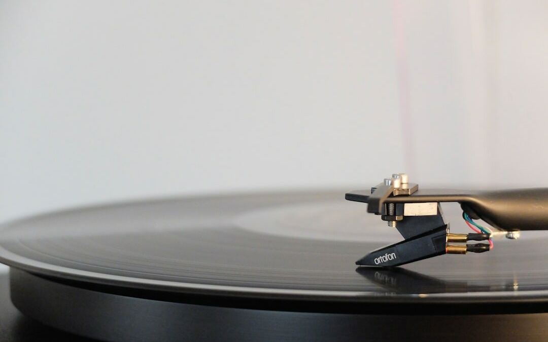 Popfest Wien 2024 lockt freiem Popfest Wien 2024 lockt freiem